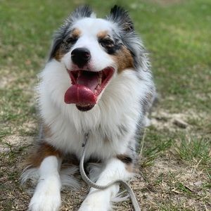 Meet your Posher, Marissa